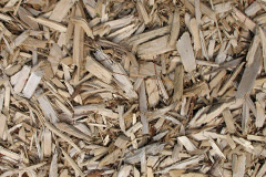 biomass boilers Wymering